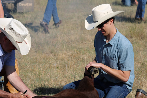 Lee Noel ranch hand