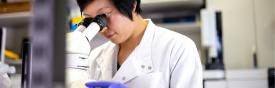 Student standing at a microscope