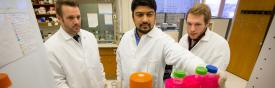 Students working in a lab