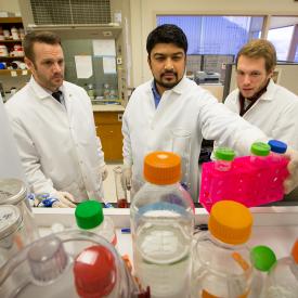 Students working in a lab